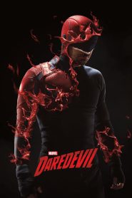 Marvel’s Daredevil (2015-2018) Season 01-03 – Hindi/English Dual Audio – Full Series Download & Watch FREE – cinevaultbd.com