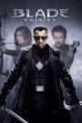 Blade: Trinity (2004) Blade 3 Hindi + English – Full Movie Download & Watch FREE – cinevaultbd.com