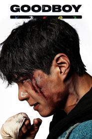 Good Boy (2025) S01 – Ep: 01-06 – Dual Audio [Hindi-Korean] AMZN WEB-DL – Full Series Download & Watch FREE – cinevaultbd.com